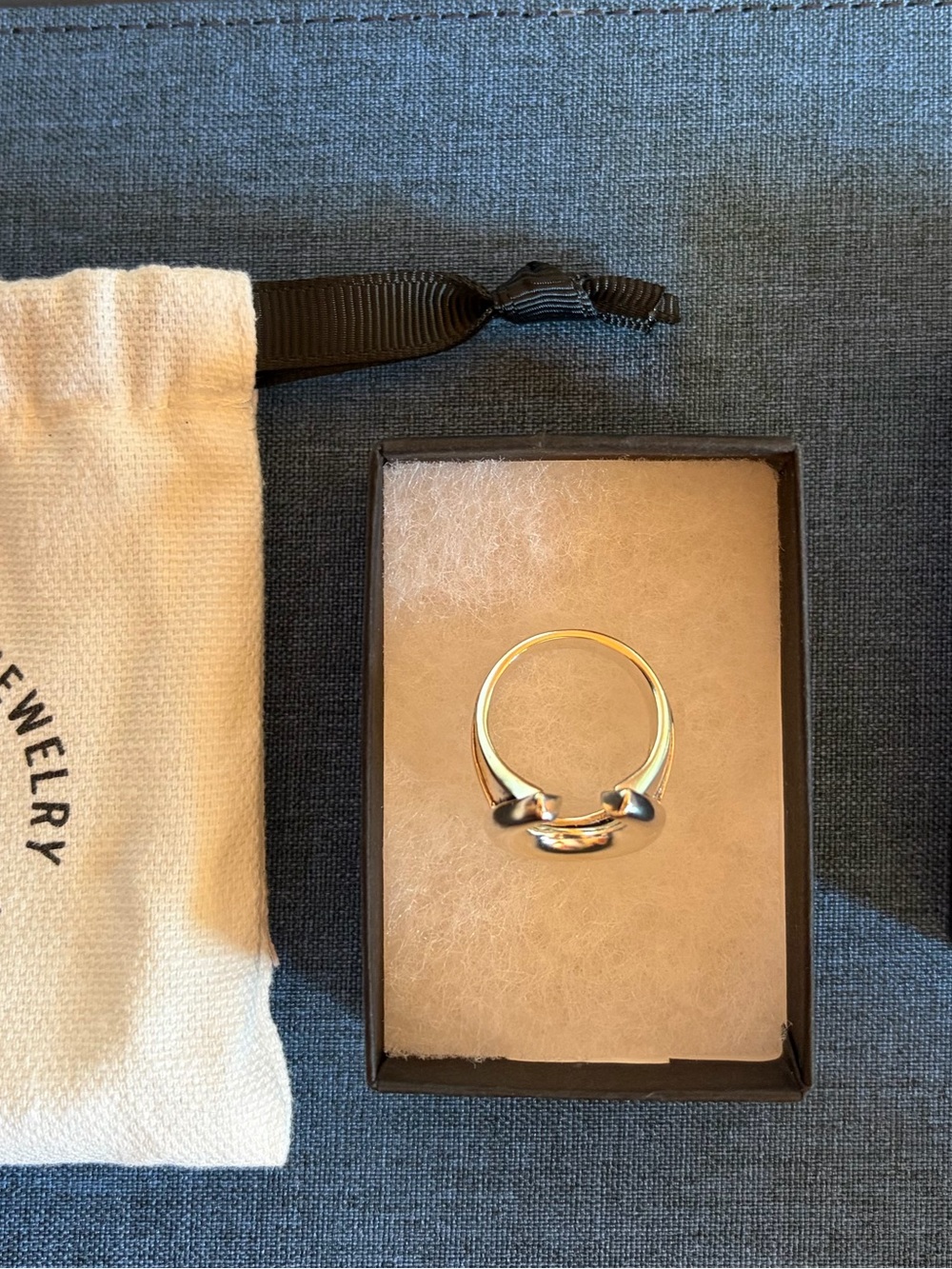 Sierra Winter Jewelry “Easy Rider” ring